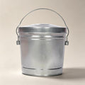 6 Gal Galvanized Metal Bin Locking Lid C38944