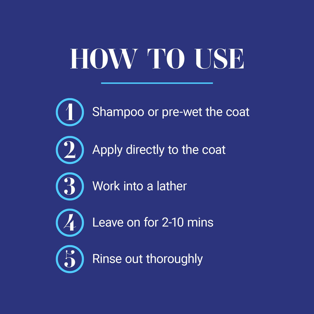 White Dog Shampoo 16OZ Z861964