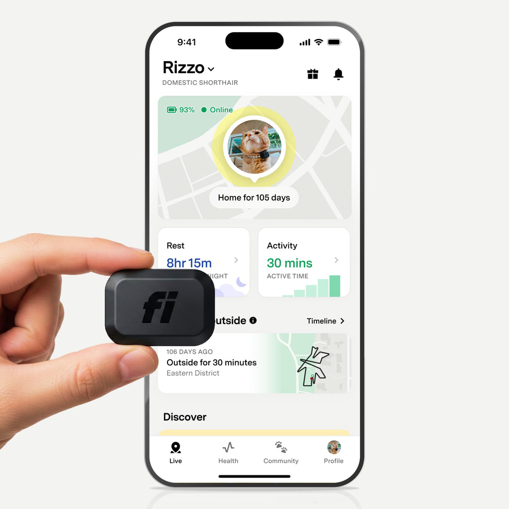 Mini GPS Cat Tracker Collar Attachment N9602