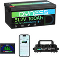48V 100Ah Lithium Golf Cart Battery with Charger A446897