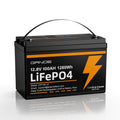 12V 100Ah LiFePO4 Battery with 100A BMS K903175