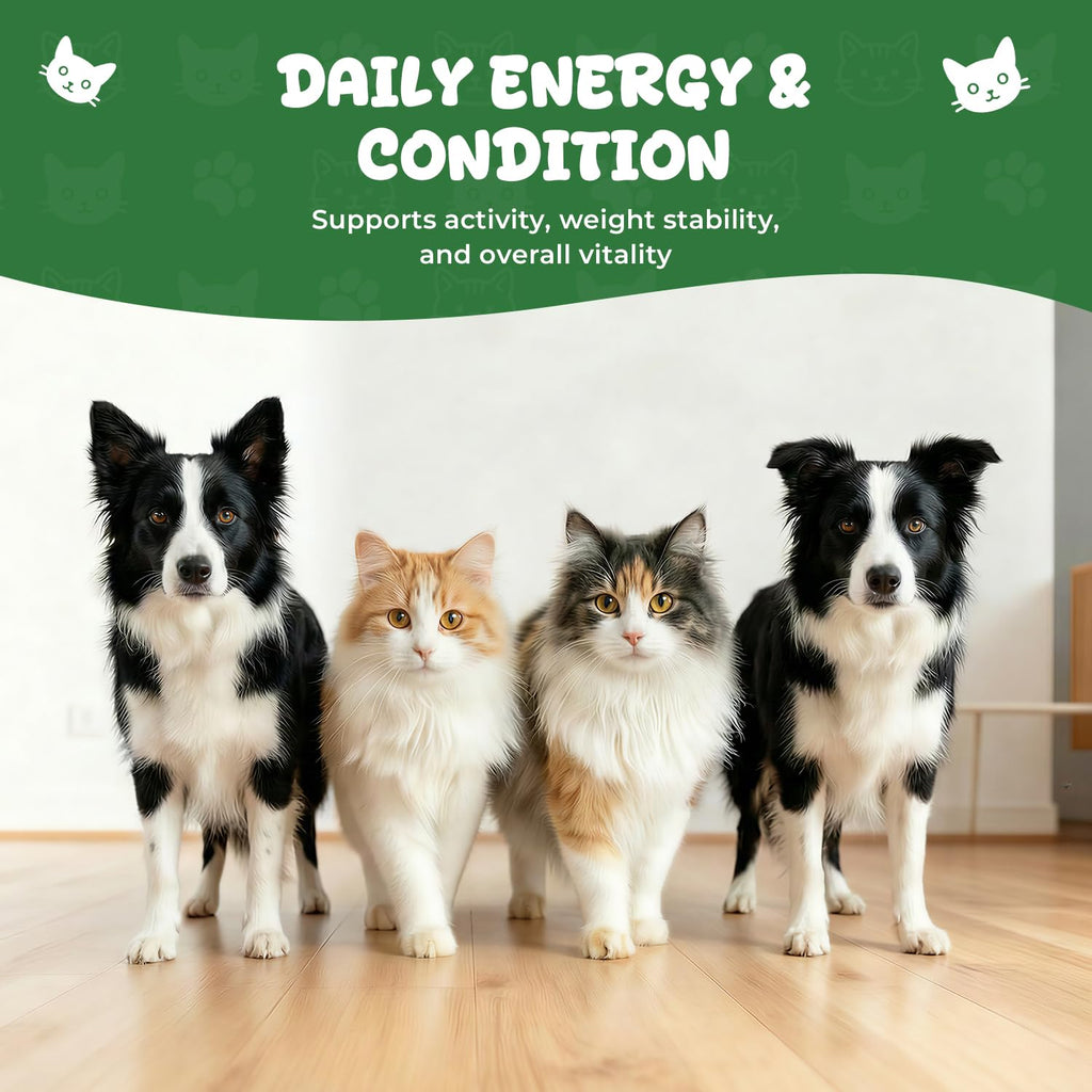 Thyroid Support for Dogs & Cats B95423
