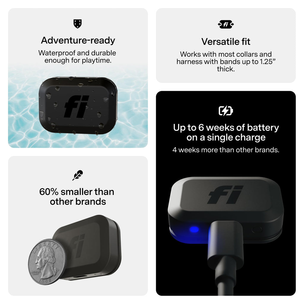 Mini GPS Cat Tracker Collar Attachment N9602