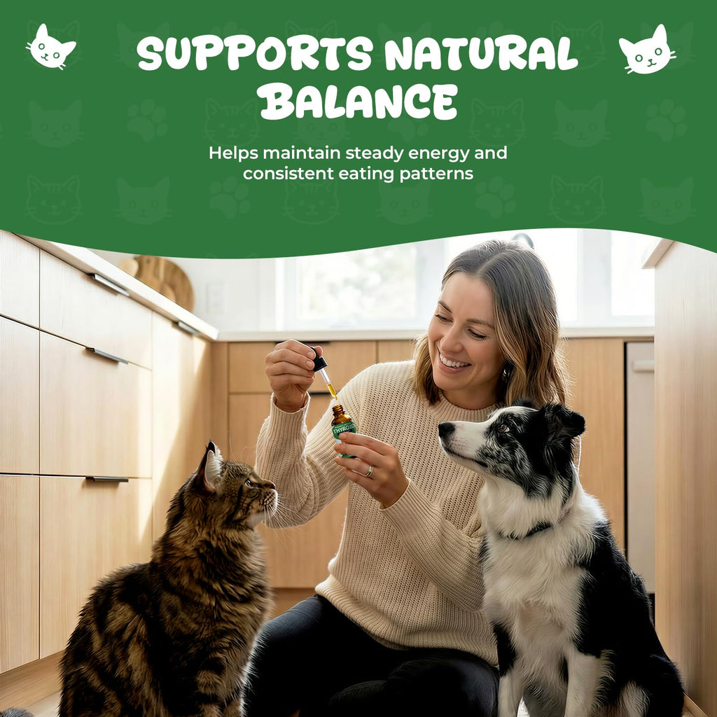 Thyroid Support for Dogs & Cats B95423