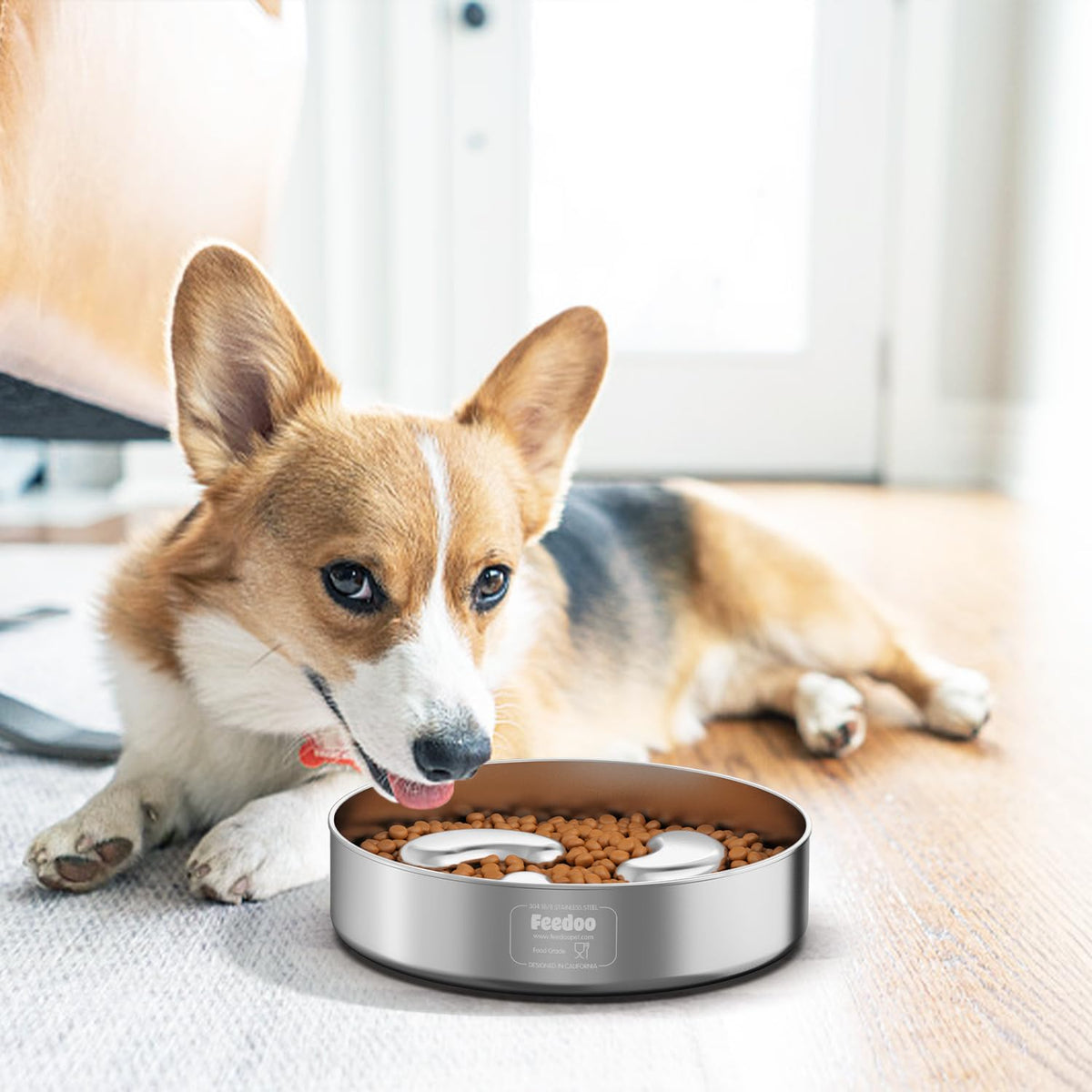 Slow Feeder Dog Bowl 1.5-Cup Stainless Steel L429