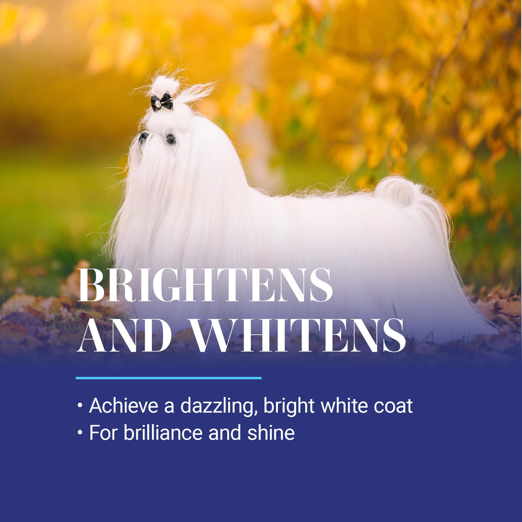 White Dog Shampoo 16OZ Z861964