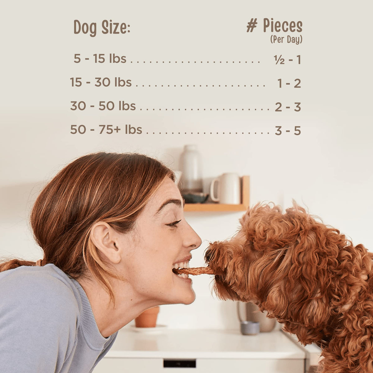 Chicken Jerky Tenders Dog Treats 26 oz D112