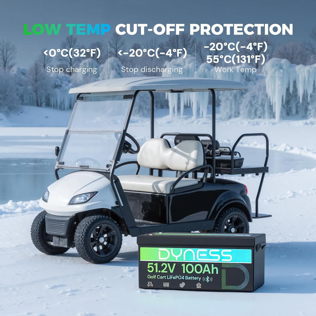 48V 100Ah Lithium Golf Cart Battery with Charger A446897