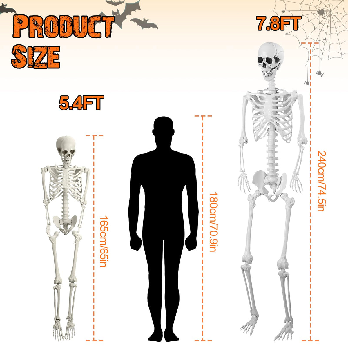 5.4FT Posable Life Size Skeleton A6824