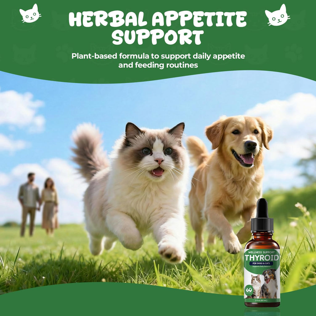 Thyroid Support for Dogs & Cats B95423