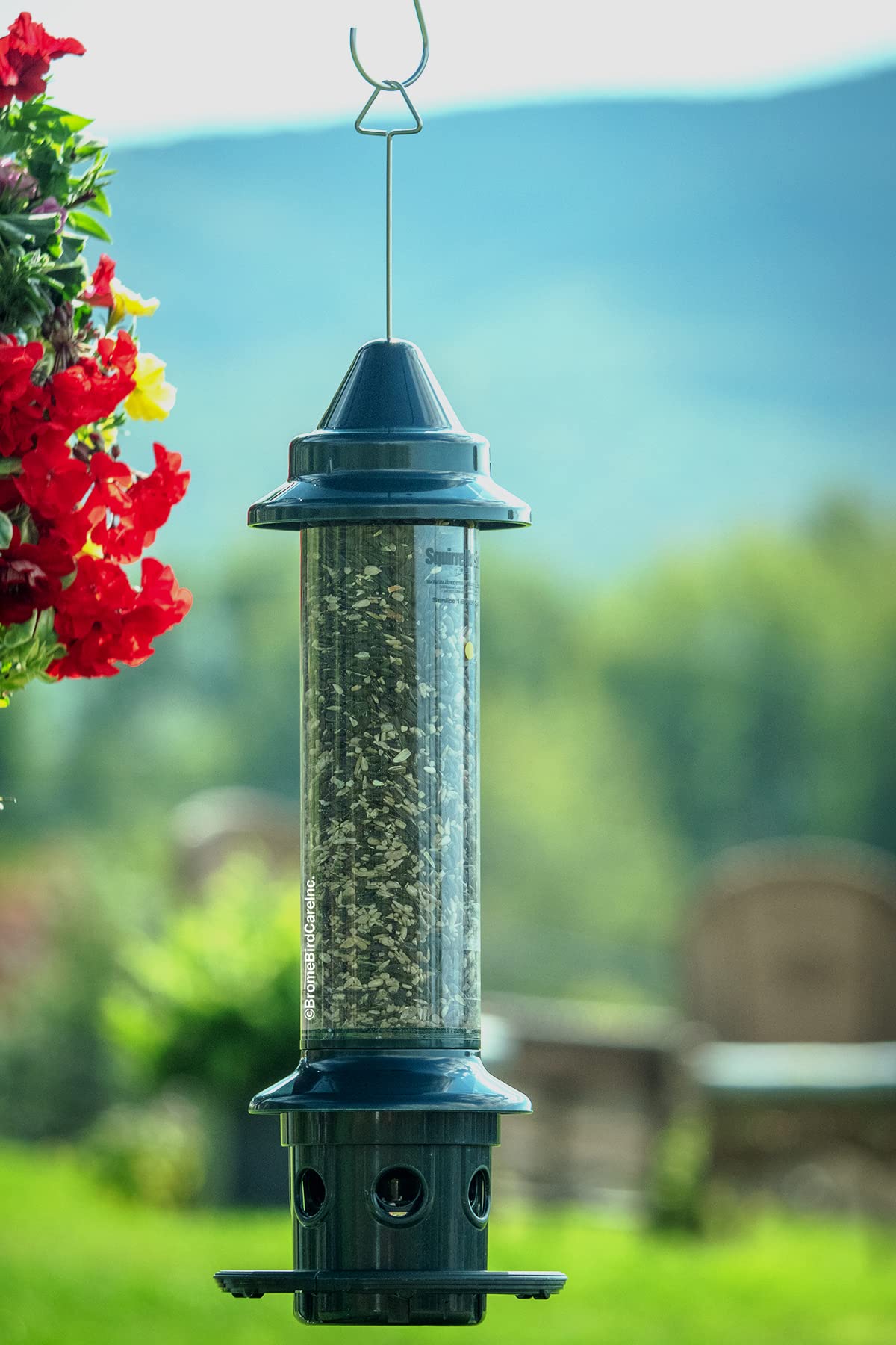 Green Squirrel-Proof Bird Feeder and 20-Pound Bag Wild Bird Food L680889