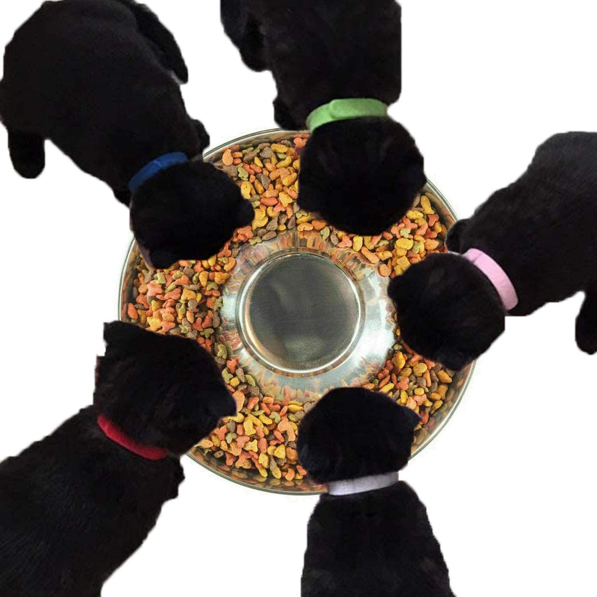 Stainless Steel Puppy Weaning Bowls A723166