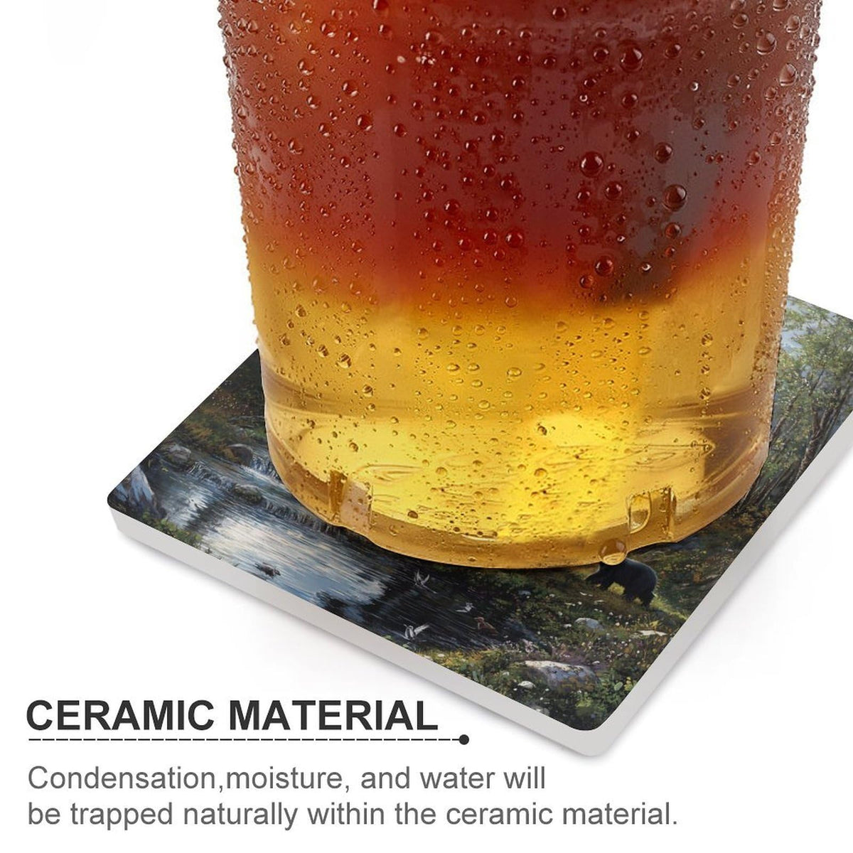 Ceramic Coasters Set Z6917