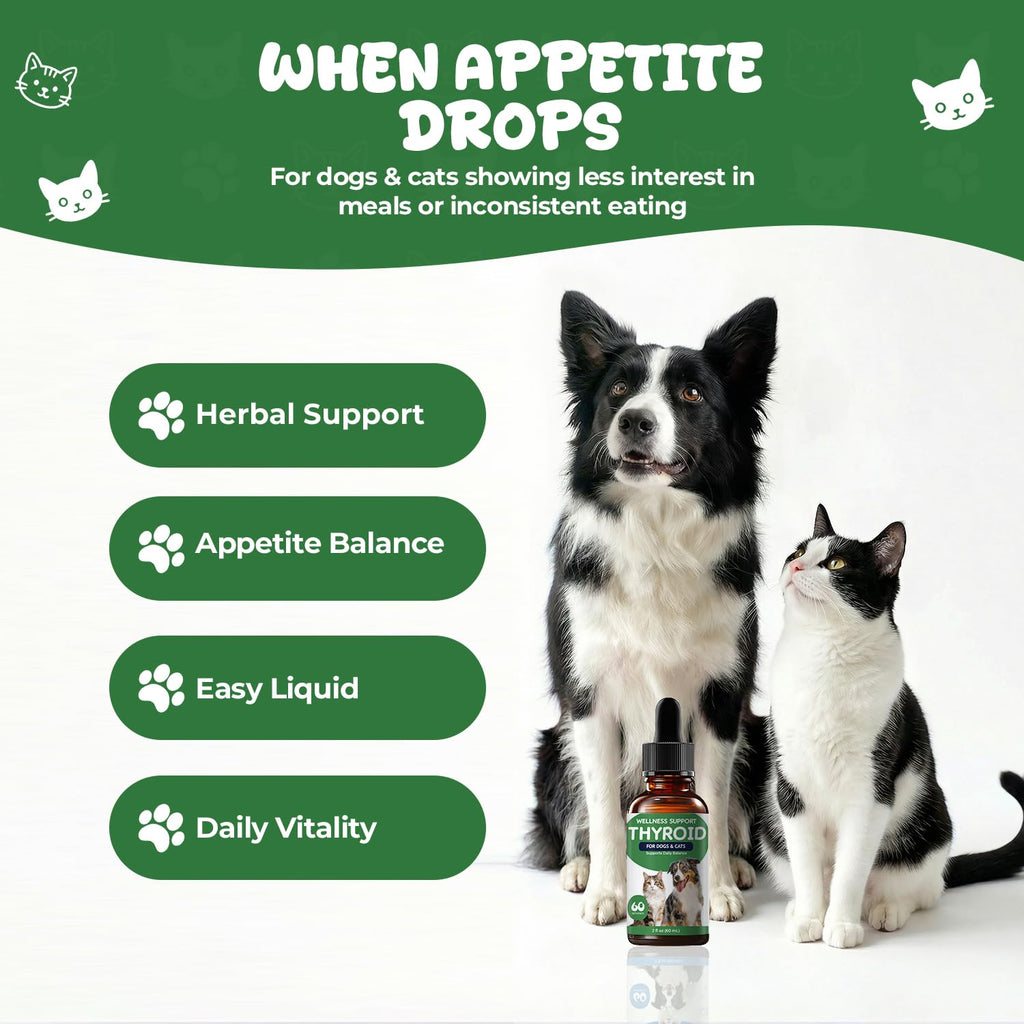 Thyroid Support for Dogs & Cats B95423