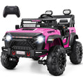 24V 2 Seater Ride on Car with Remote Control T263