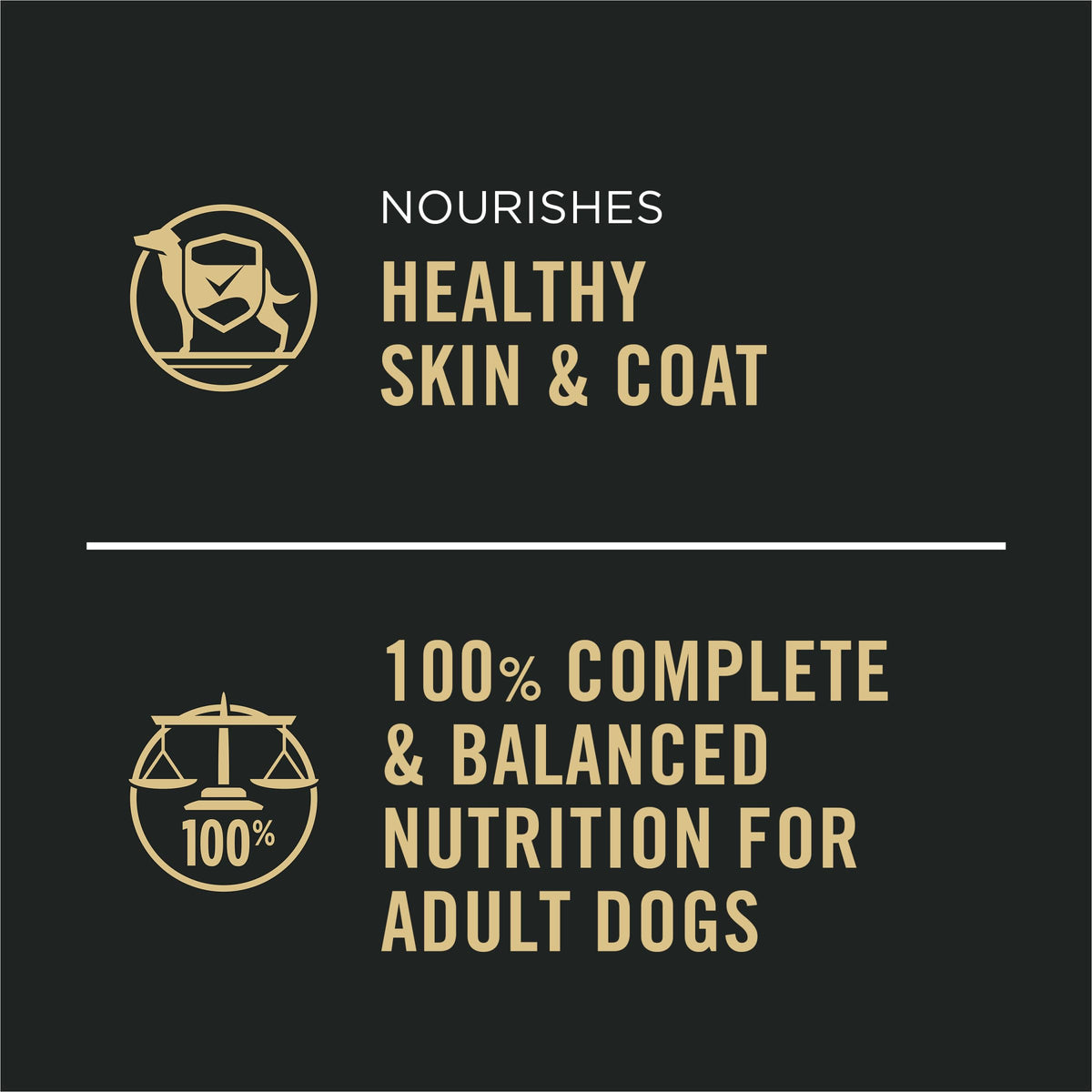 Wet Dog Food Variety Pack 13 oz E337591