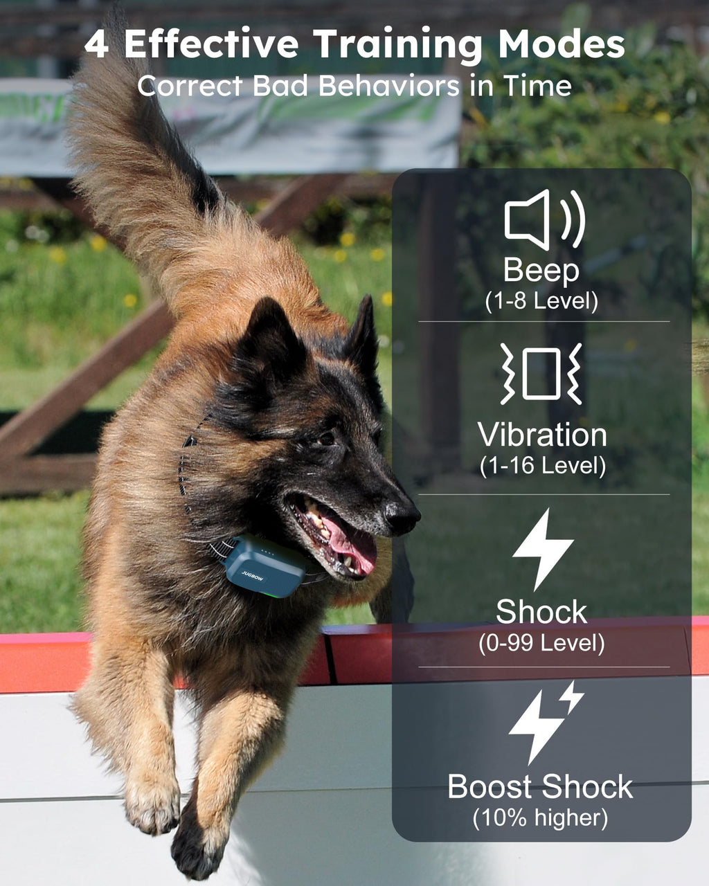 Dog Shock Collar with Remote K97722
