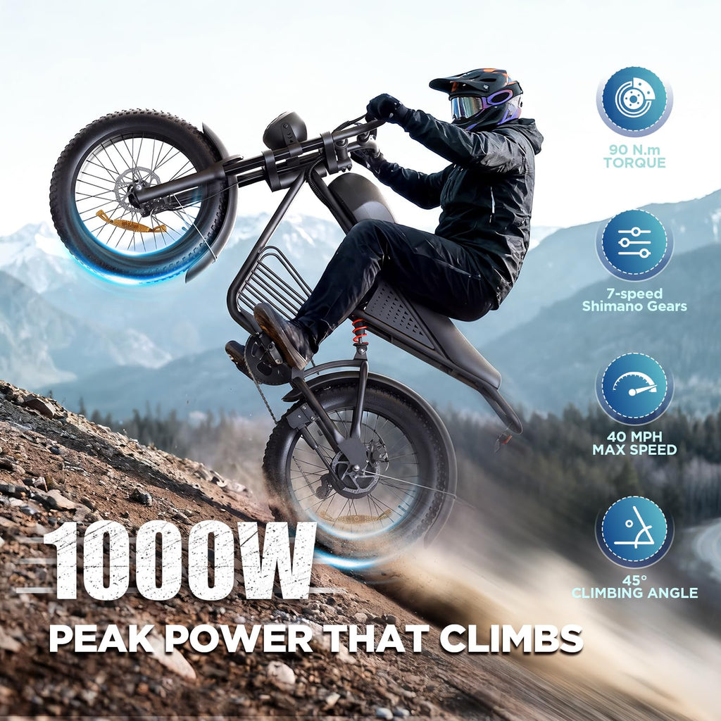 1000W Electric Bike 48V 15Ah 20" Fat Tire 7-Speed Y534