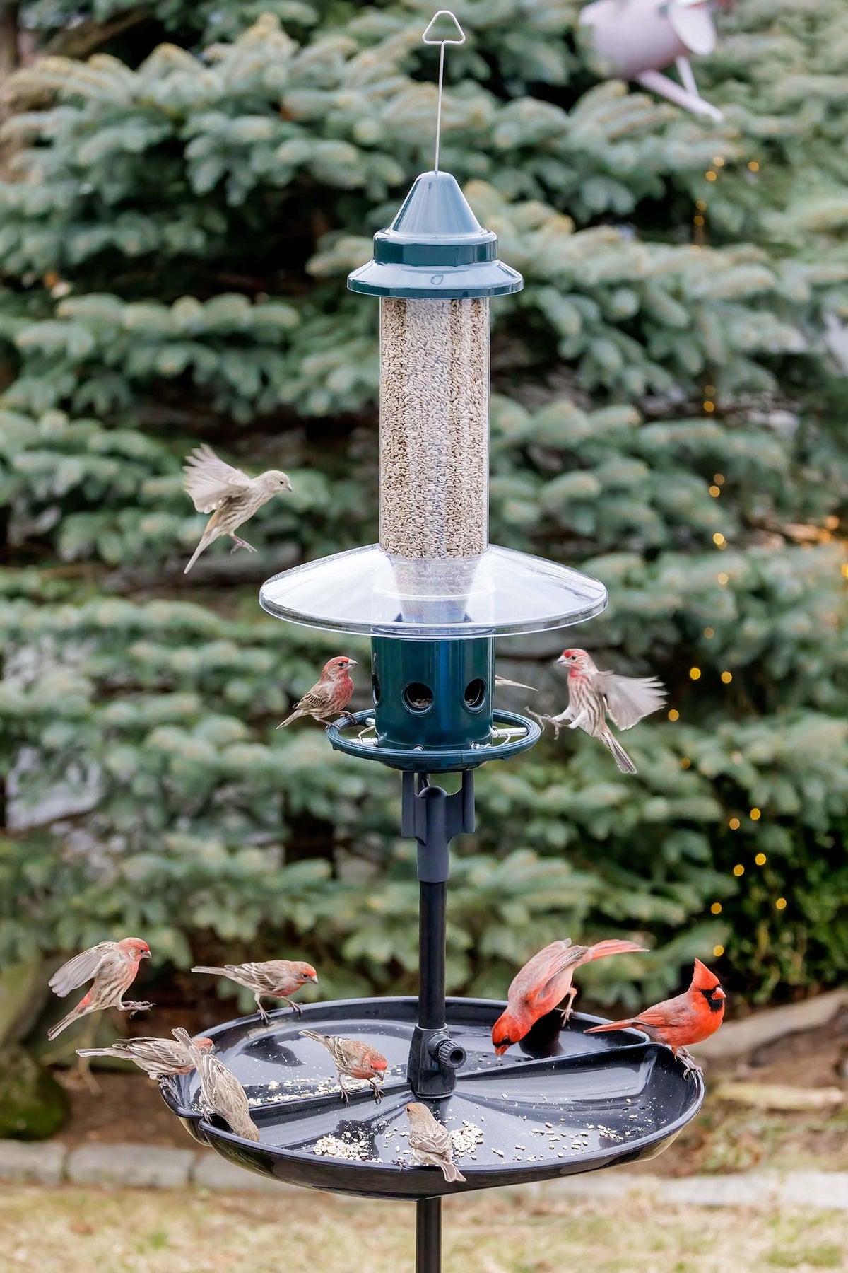 Green Squirrel-Proof Bird Feeder and 20-Pound Bag Wild Bird Food L680889
