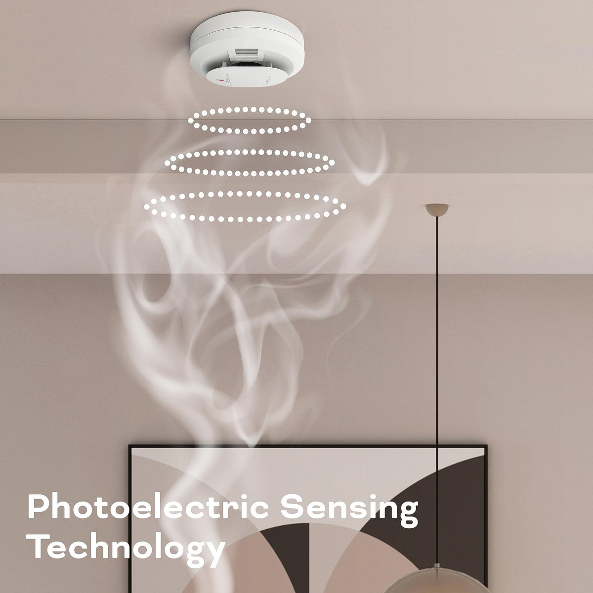 Hardwired Smoke & Carbon Monoxide Detector V279524