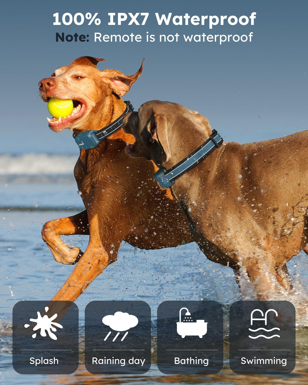 Dog Shock Collar with Remote K97722