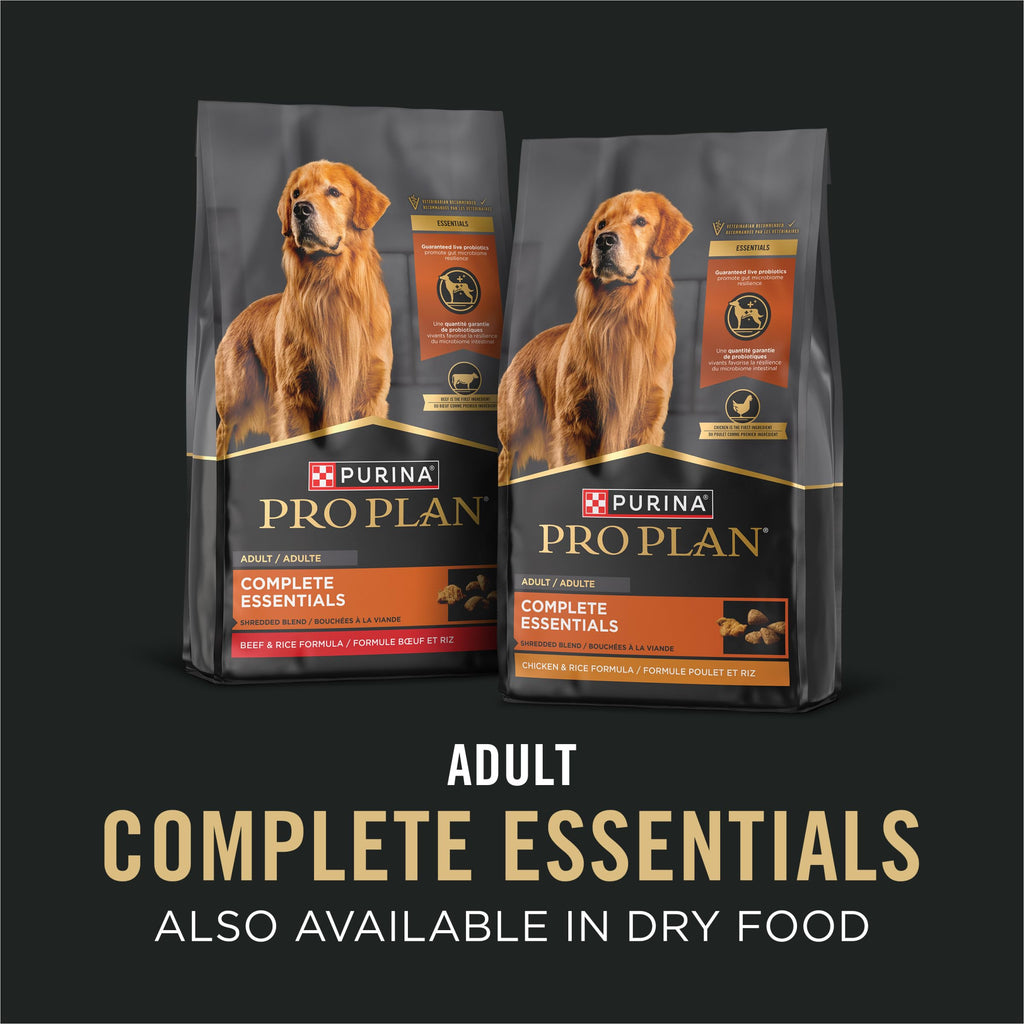 Wet Dog Food Variety Pack 13 oz E337591