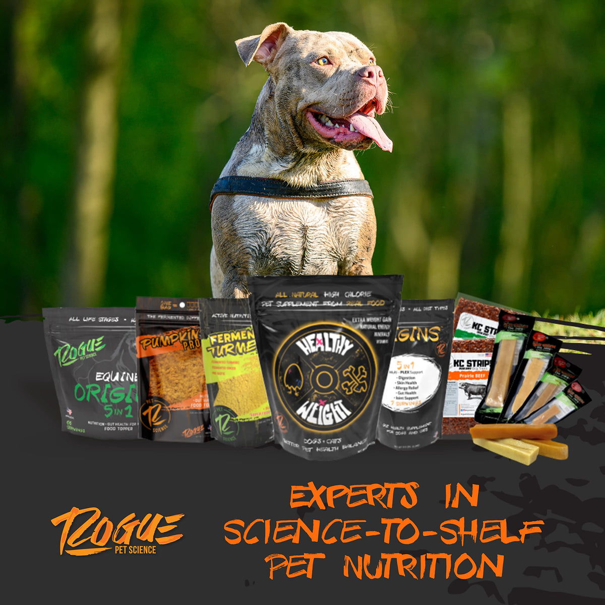 Large-Dog Bundle with 5-in-1 Dog-Food Topper and Weight Gainer A7232