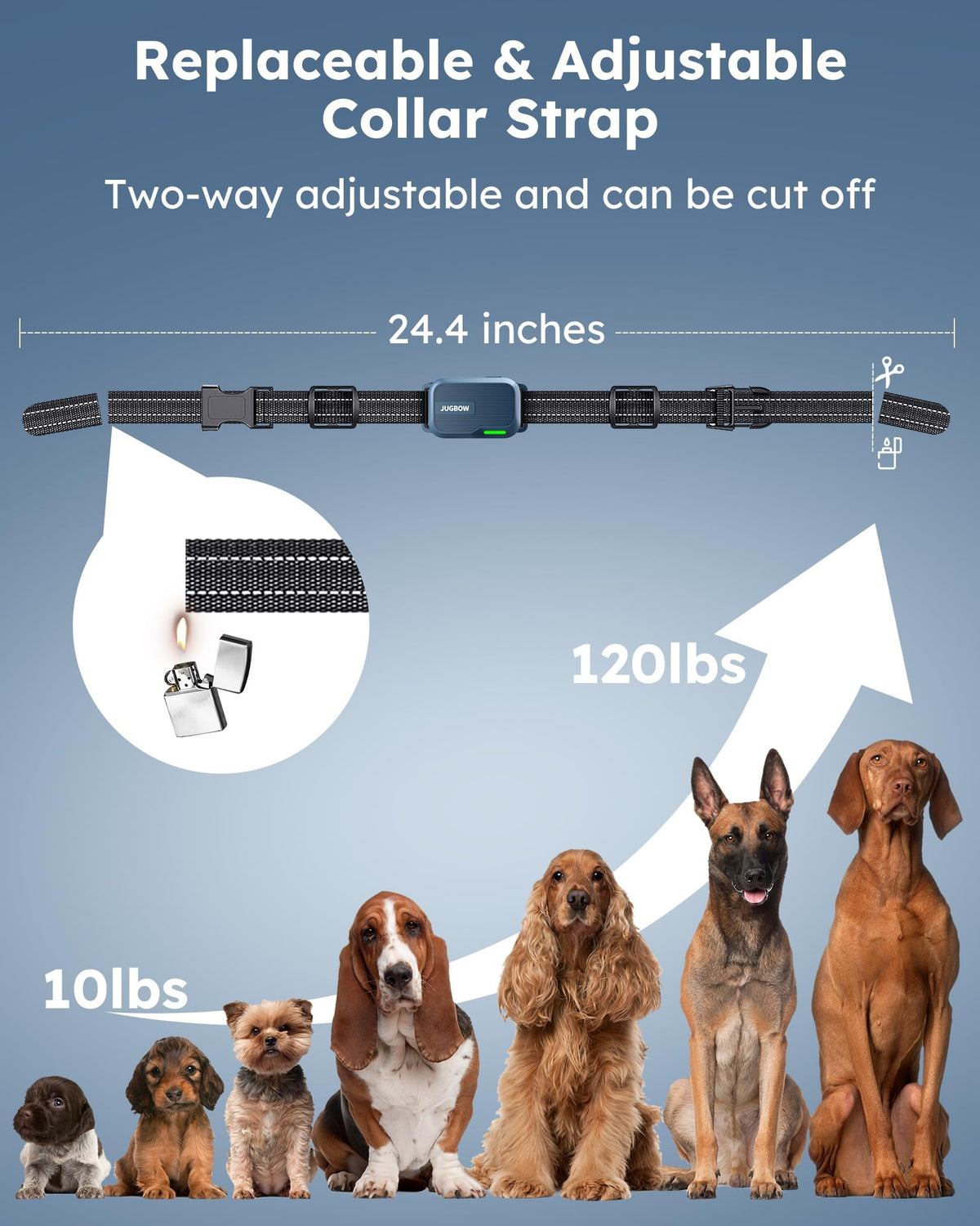 Dog Shock Collar with Remote K97722