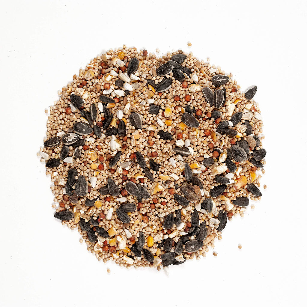 Green Squirrel-Proof Bird Feeder and 20-Pound Bag Wild Bird Food L680889