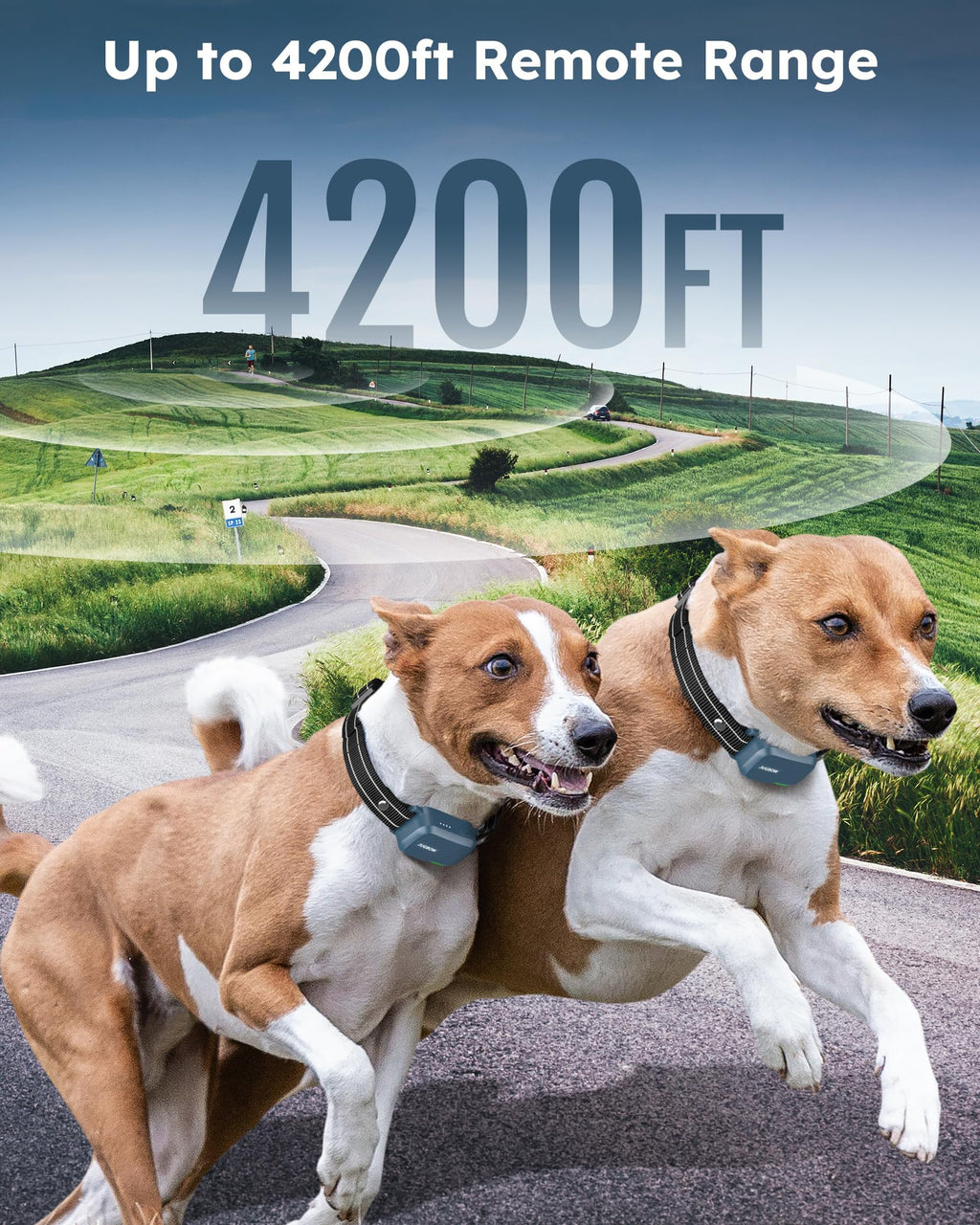 Dog Shock Collar with Remote K97722